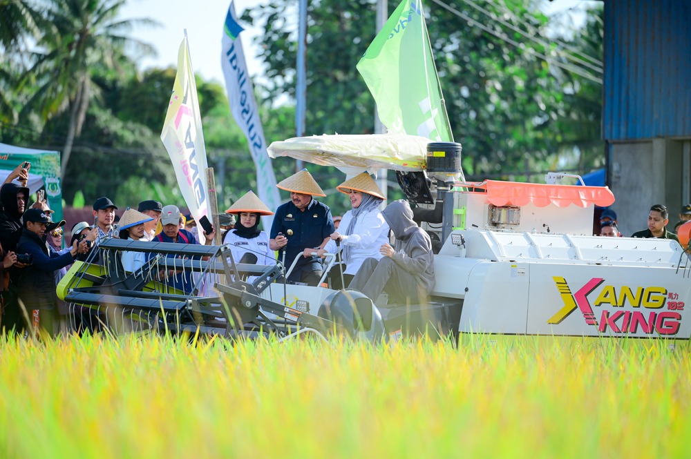 Wagub Sulsel Apresiasi Panen Raya Pinrang
