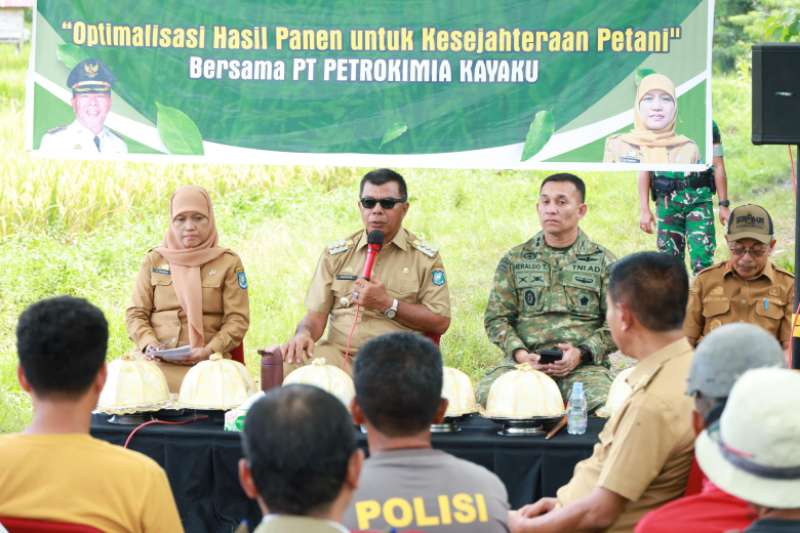 Bupati Bulukumba Andi Utta Pimpin Panen Raya: Rahasia Ketahanan Pangan Hadapi El Nino & Tantangan Global