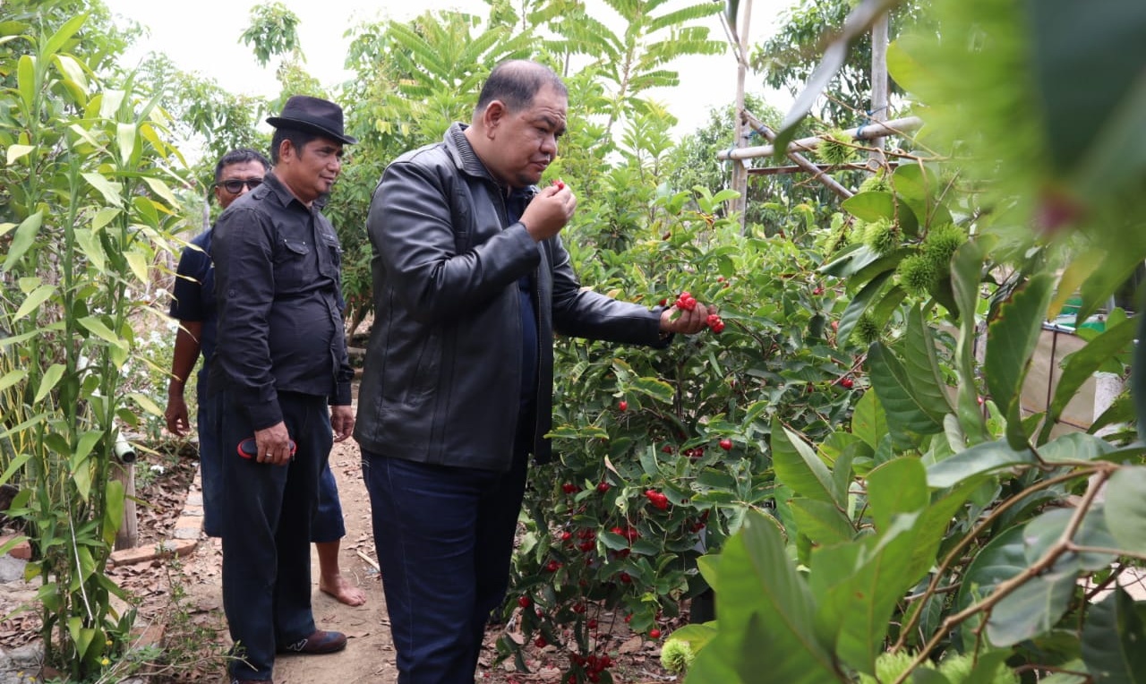 Kalau Jadi Bupati, Askar HL Janji Majukan Pertanian Bulukumba