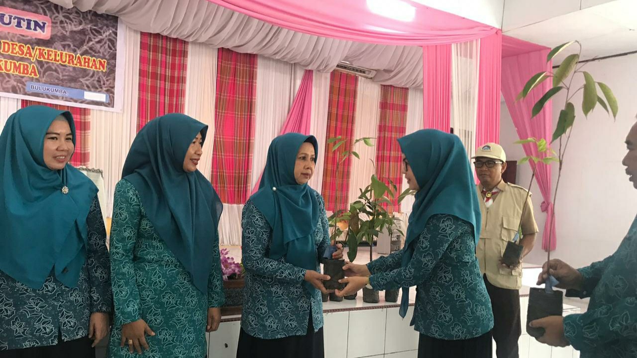 Peduli Lingkungan, Ketua TP PKK Bulukumba Salurkan Bibit Pohon ke- 10 Kecamatan