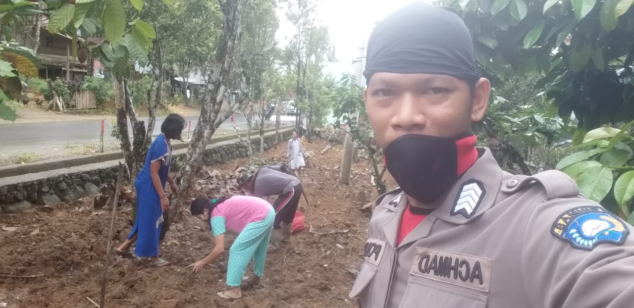 Ganja dan Porang untuk Orogading