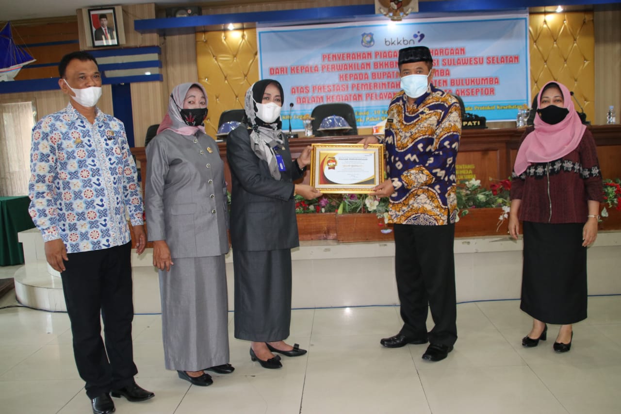 Bupati Bulukumba Terima Penghargaan dari BKKBN, ini capaian Bulukumba