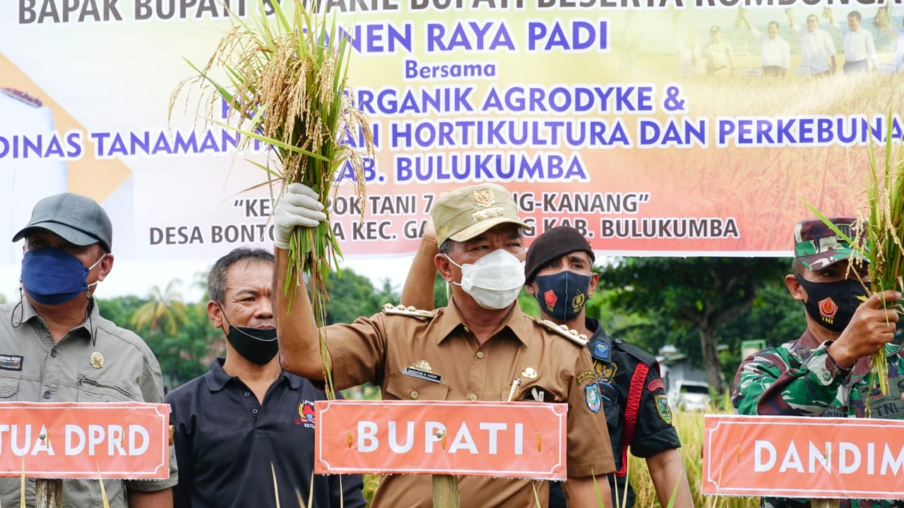 Andi Utta Ingin Bulukumba Menjadi Salah Satu Daerah Lumbung Padi
