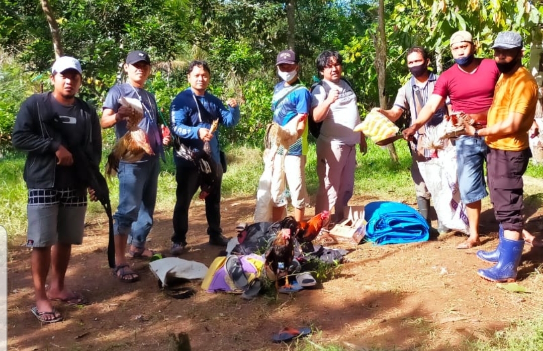Gerebek Tempat Judi Sabung Ayam, Polsek Rilau Ale Amankan 5 Unit Motor