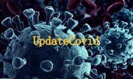 Data Terkini Sebaran Covid, DKI Jakarta Tertinggi