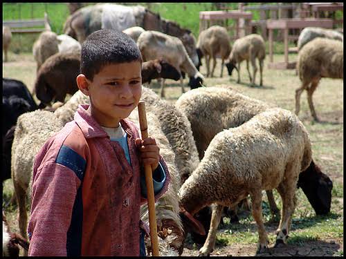 Cahaya Qurban di Hati Mahendra