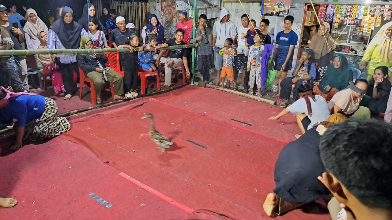 Meriah! Warga Gaddea HUT RI ke-80 dengan Lomba Tangkap Bebek
